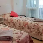 вълчеви 4* نيسيبار