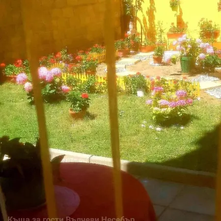 вълчеви Πανσιόν