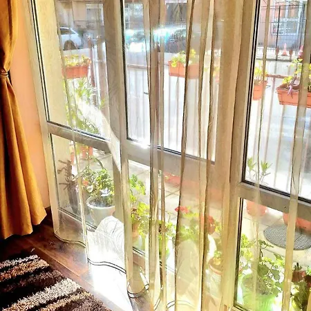 вълчеви Νεσέμπαρ