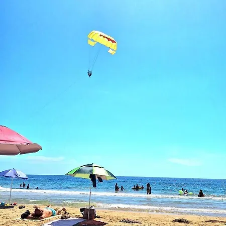 Πανσιόν вълчеви