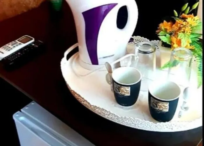 вълчеви Pensiune 4*