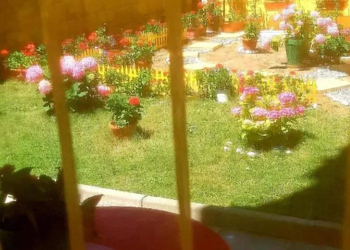 вълчеви Pensiune