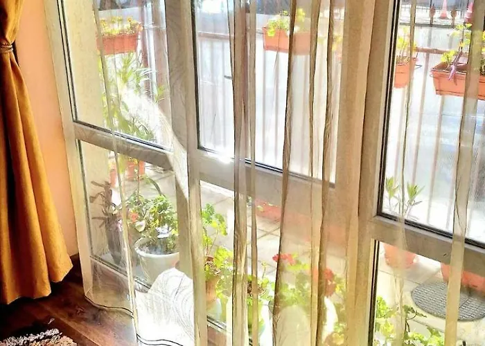 вълчеви Nesebăr