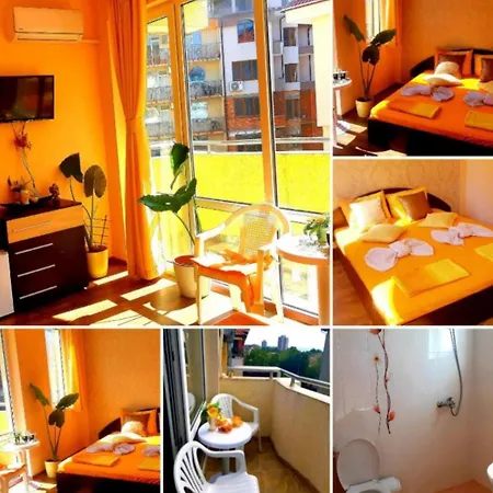 вълчеви Nessebar